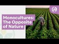 Monocultures: The Opposite of Nature