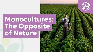 Monocultures: The Opposite of Nature