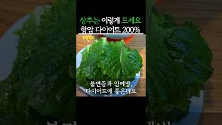 상추는 무조건 이렇게 드세요! 항암 다이어트 200% #생생정보