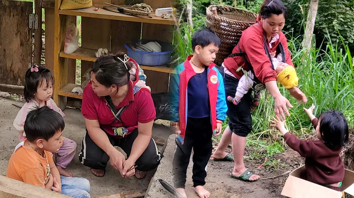 Today I took my children to the stream to catch fish to cook rice - DayDayNews