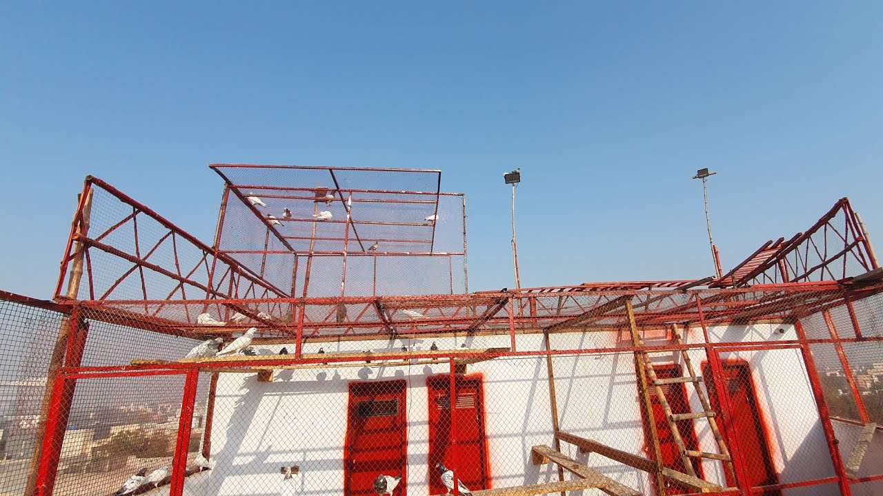 New parwazi chatt change kr di 