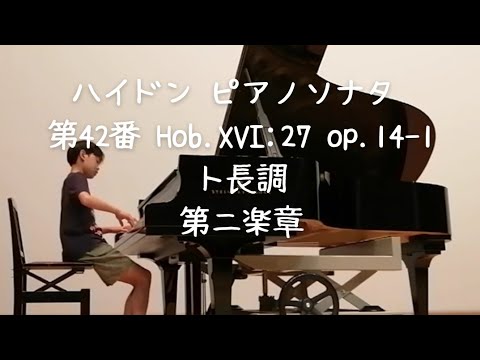 【新品未開封】ハイドン:ピアノと室内楽による作品集(2枚組) 新品未開封】ハイドン:ピアノと室内楽による作品集(2枚組)