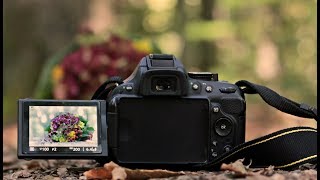nikon d5500 unboxing and review - nikon d5500 user guide