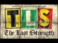 THE LAST STRENGTH-bardulia