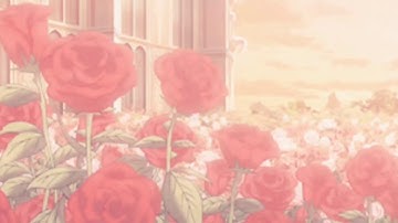 Aesthetic Intro for Vlogs 1 (No music, No text, With Subscribe button)