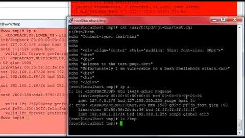 Shellshock Bash Exploit