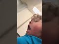Young lady goes viral by dropping a tarantula on a person 😳