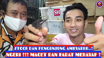 NGERI ! MACET, PADAT MERAYAP, STOCK DAN PENGUNJUNG AMBYARR ! EDIE JOVANIS. EPISODE 1