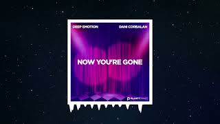 Deep Emotion & Dani Corbalan - Now You're Gone (Extended Mix)