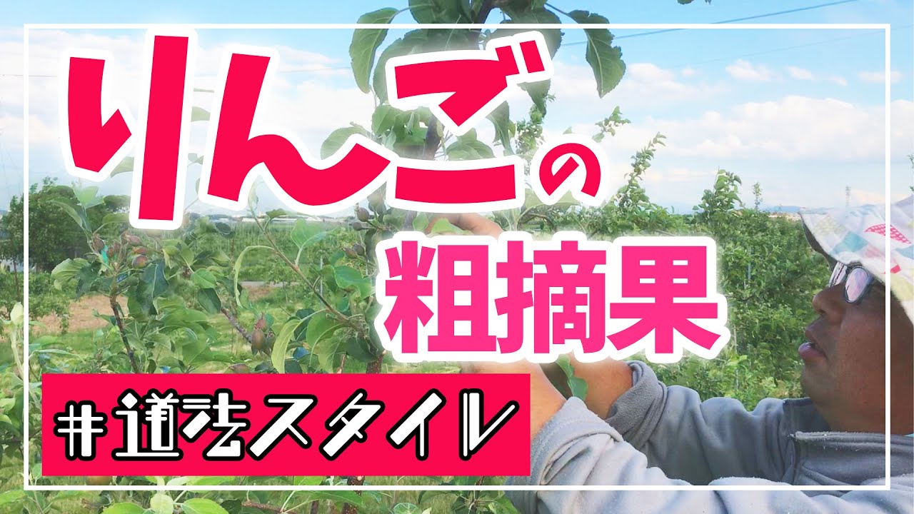 りんごの摘果 二年枝に実をつけない理由とは 道法スタイル Youtube りんごの摘果 二年枝に実をつけない理由とは 道法スタイル Youtube