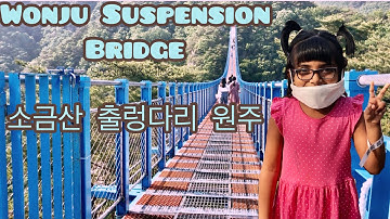 Wonju Suspension Bridge - 소금산 출렁다리 원주|Wonju Travel Part -1| Wonju Attractions