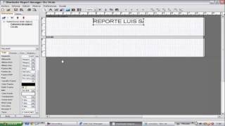 Reporte con Report Manager