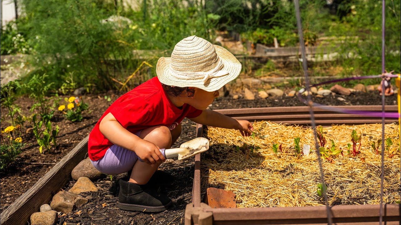 NHNS 105 for 105 Campaign Video