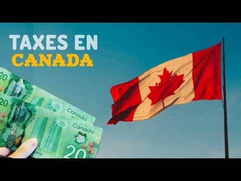 ¡Evita Estos Errores! Tips Clave Para Hacer Tus Taxes en Canadá con Sandra Macinnis