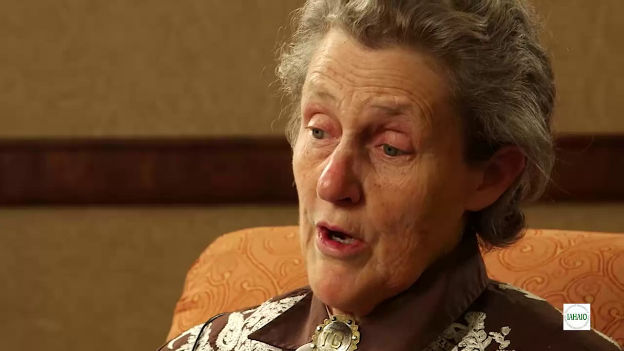 Expert Insight From Temple Grandin In English - 