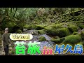 #47【Virtual　苔旅】in 屋久島