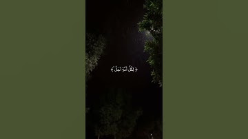 القارئ عبدالرحمن مسعد - الآية 49 من سورة يونس