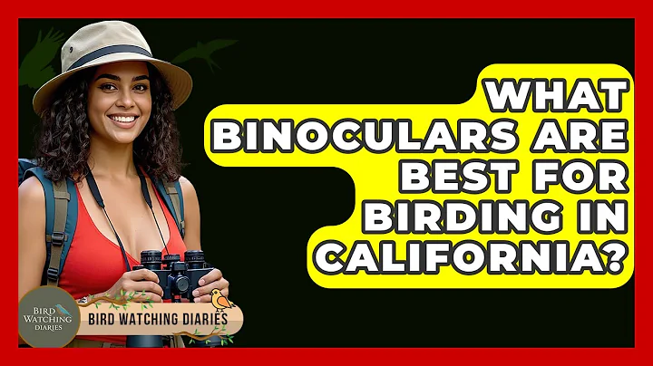 What Binoculars Are Best For Birding In California? - Bird Watching Diaries