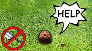 Lose the Duckweed