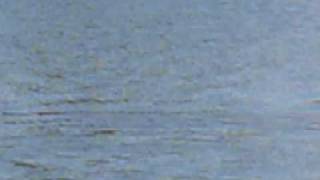 MVI_0209.MOV