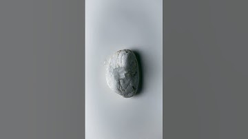 Journey Through the Icy Realm: The Kuiper Belt