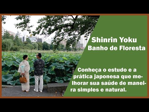 Vídeo: O Que é O Banho Na Floresta, Onde Fazer Uma Peregrinação No Japão