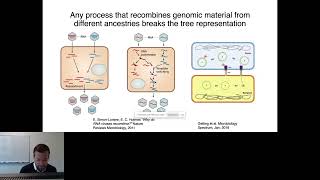 Reconstructing the horizontal movement of genes using... - Nicola F. Müller - ISCBacademy Webinar