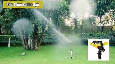 Béc Phun Cánh Đập