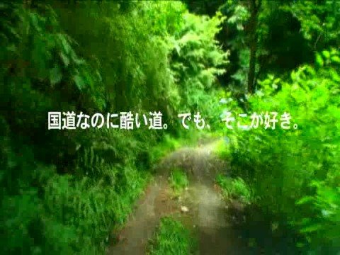 酷道 東日本編 [DVD]