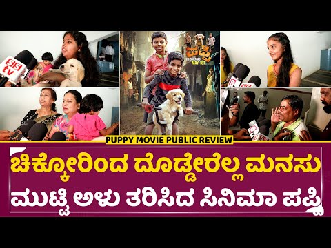 Puppy Movie public Review: ಚಿಕ್ಕೋರಿಂದ ದೊಡ್ಡೇರೆಲ್ಲ ಮನಸು ಮುಟ್ಟಿ ಅಳು ತರಿಸಿದ ಸಿನಿಮಾ ಪಪ್ಪಿ | Pappi| SStv Puppy Movie public Review: ಚಿಕ್ಕೋರಿಂದ ದೊಡ್ಡೇರೆಲ್ಲ ಮನಸು ಮುಟ್ಟಿ ಅಳು ತರಿಸಿದ ಸಿನಿಮಾ ಪಪ್ಪಿ | Pappi| SStv