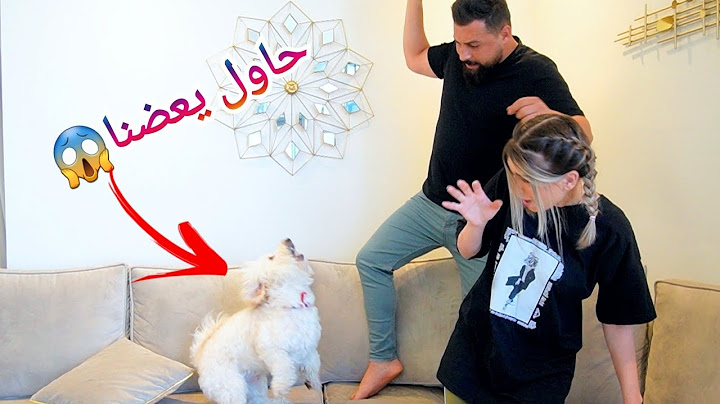 أخيراً روكسي وصل عالبيت😍 هجم علينا😱