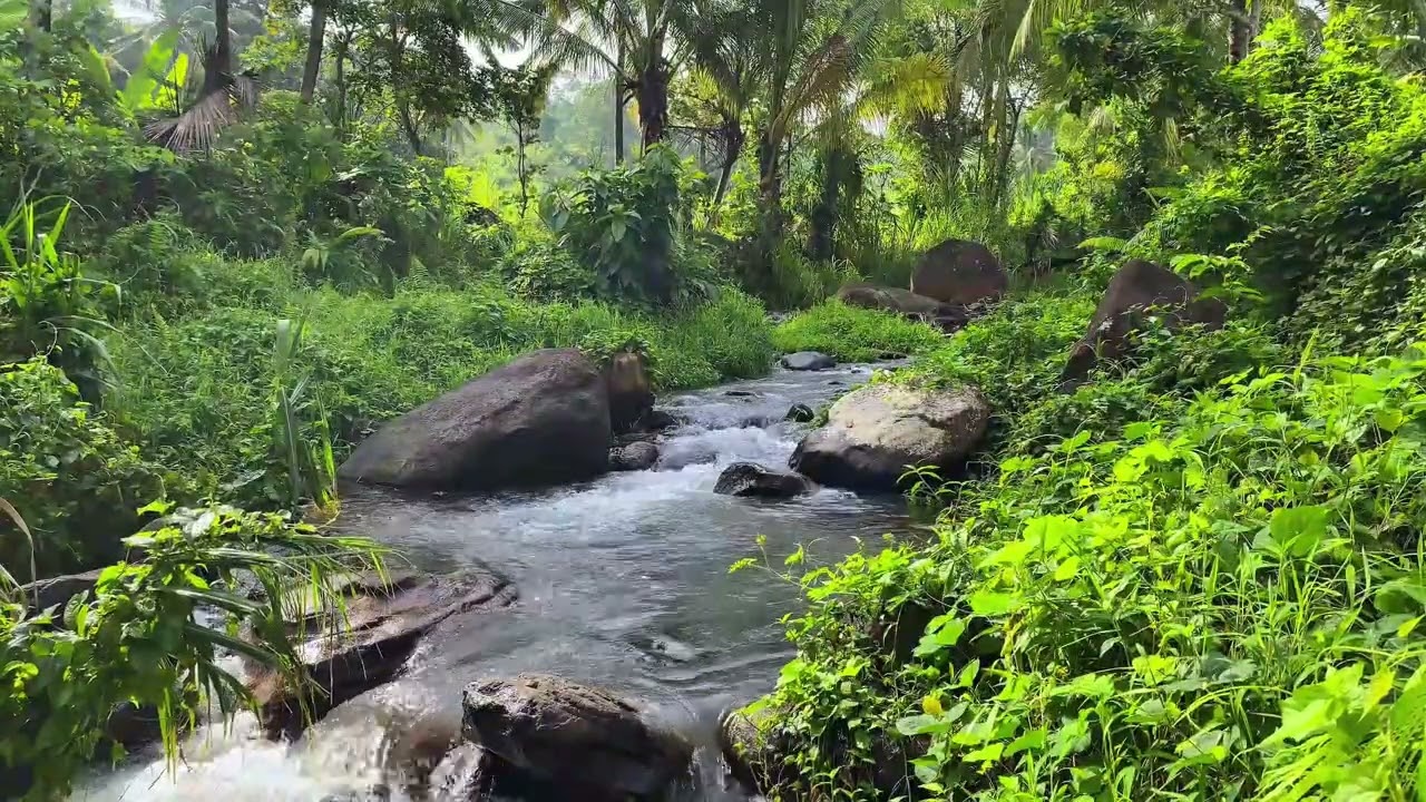 🌙 Night River Escape | Soothing Water Sounds For Overthinking