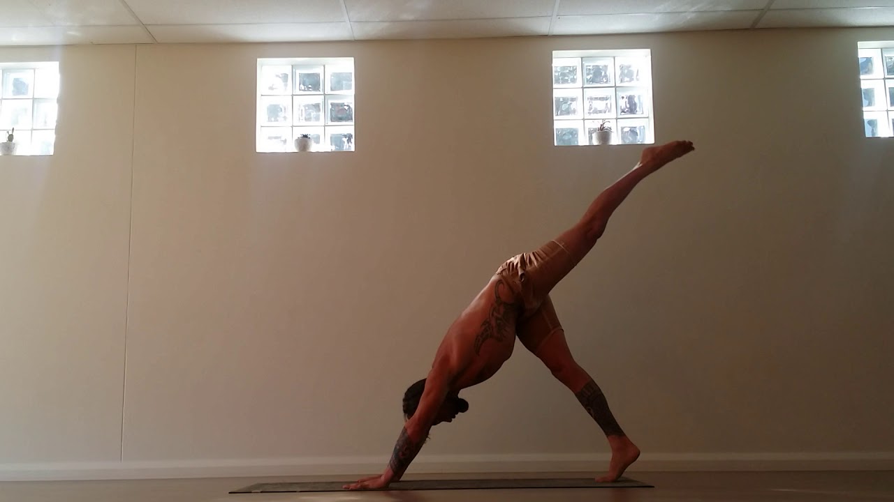 TRANSITION: DOWNDOG TO TIGER CURL TO HANDSTAND TO