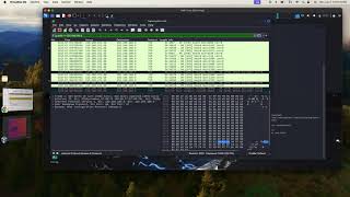 CYB-511 Lab 4.2 Using Ettercap DoS Attack and Metasploit SYN Flood