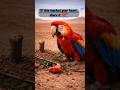 “If this touched your heart, share it ❤️”#Parrot #EmotionalVideo #youtubeshorts#ViralVideo