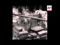 SYND 1 6 71 CAIRO RECORDS BURNED SYND 1 6 71 CAIRO RECORDS BURNED