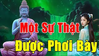 Sư Thầy Thích MinhTuệ Có Giả Tu Hay Không Qua ChiaSẻ Của Các Cao Tăng?nghe xong Triệu Người Ngã Ngửa