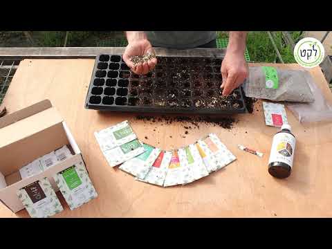 וִידֵאוֹ: ריבוי זרעי שיטה: למד על גידול שיטה מזרעים