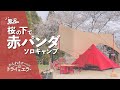 【ソロキャンプ第22弾】赤パンダにNEWタープを張ってソロキャンプin吉野山キャンプ場【かんれきガールのトライ& エラー#46】