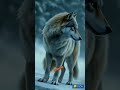 انا لم أتغير بل أدركت أحجام الناس الحقيقة دويتو كلام من ذهب العلم لايك أقوال اقتباسات أكسبل