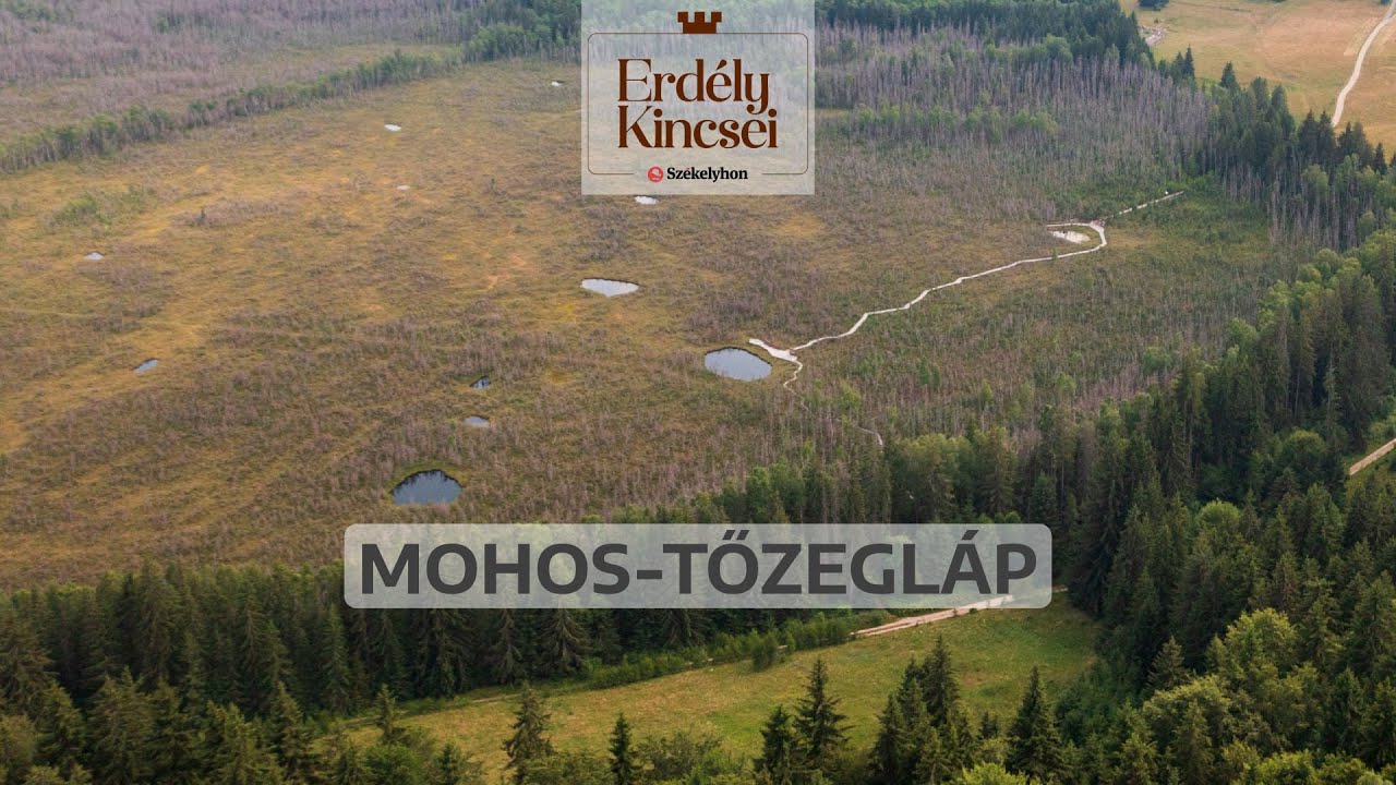 Erdély kincsei: a Mohos-tőzegláp