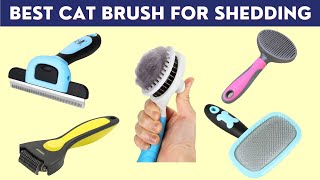 Best Cat Brush for Shedding (Cat Grooming Brush on Amazon )