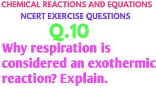 Why respiration is considered an exothermic reaction? Explain.