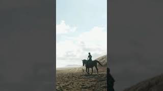 Billie Eilish Horse Trek NZ