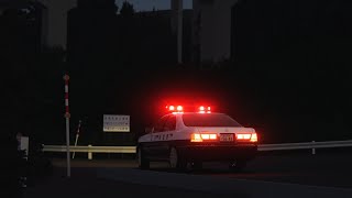 【雑談】最速の車を手に入れた！！史上最速のスピード違反してみた！#shorts