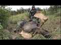 Archery Moose Hunt 2 YARD SHOT!!! - Stuck N the Rut 139