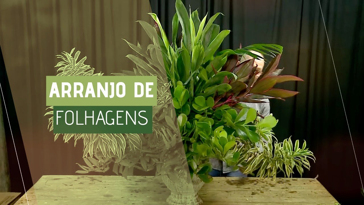 Arranjo de Folhagens - Eventos corporativos.