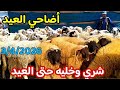 بيع أضاحي العيد نواحي عين تاوجطات عند الكساب حسن الغابة 3 4 2026 فرجة ممتعة 0682817892