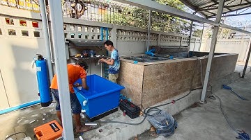 Keng พระราม 3 - วันลุยงานจัดระบบเติมน้ำดีสำหรับบ่อ 7 ม. เลี้ยงปลาทองริวกิ้น + O4FS อ่างพักปลา Set 1