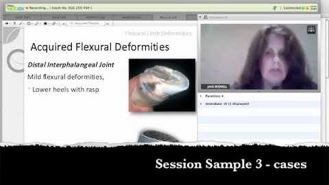 WebLeC Jane Boswell - Angular Deformities in Foals